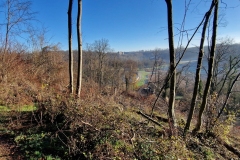 Vue-sur-le-chateau-dOffemont